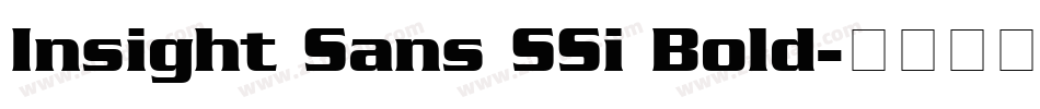 Insight Sans SSi Bold字体转换